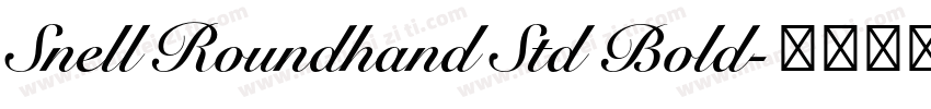 Snell Roundhand Std Bold字体转换
